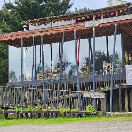 Lodge Los Bosques Matanzas  Dış mekan fotoğraf