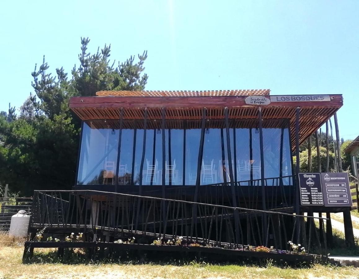 Lodge Los Bosques Matanzas  Dış mekan fotoğraf