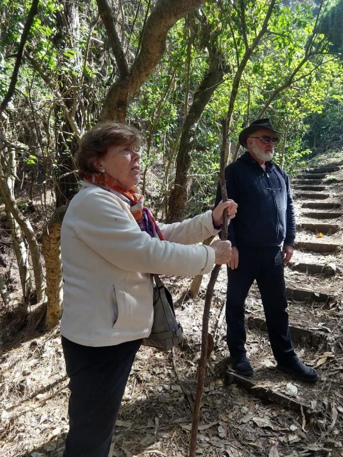 Lodge Los Bosques Matanzas  Dış mekan fotoğraf