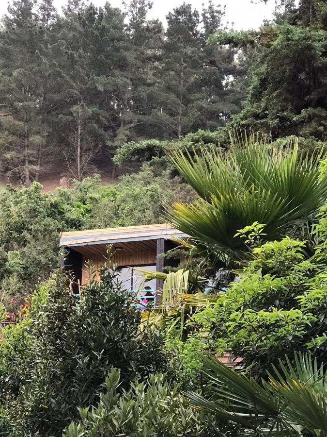 Lodge Los Bosques Matanzas  Dış mekan fotoğraf